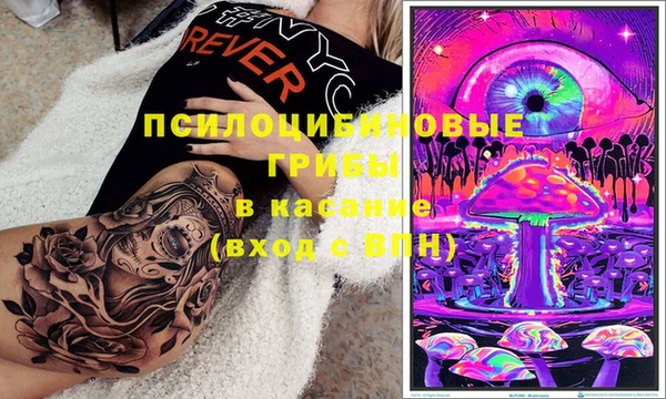 твердый Абинск
