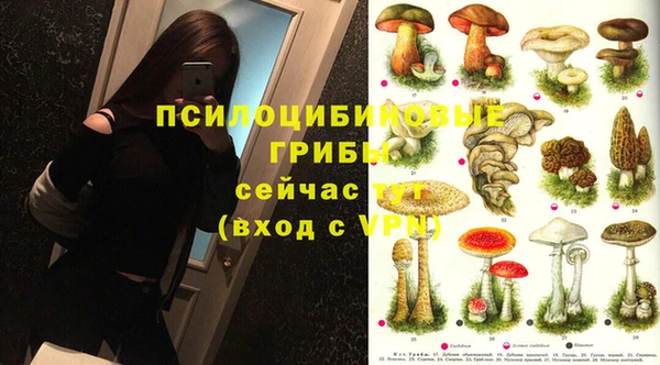 экстази Алзамай