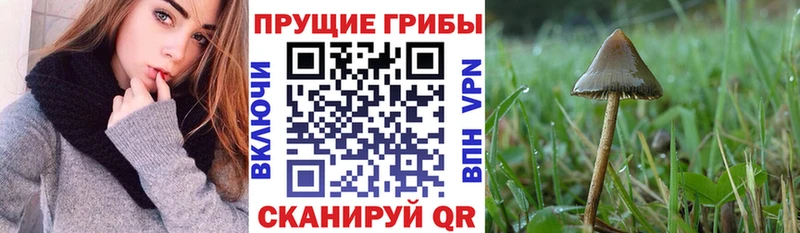 Псилоцибиновые грибы MAGIC MUSHROOMS  Добрянка 